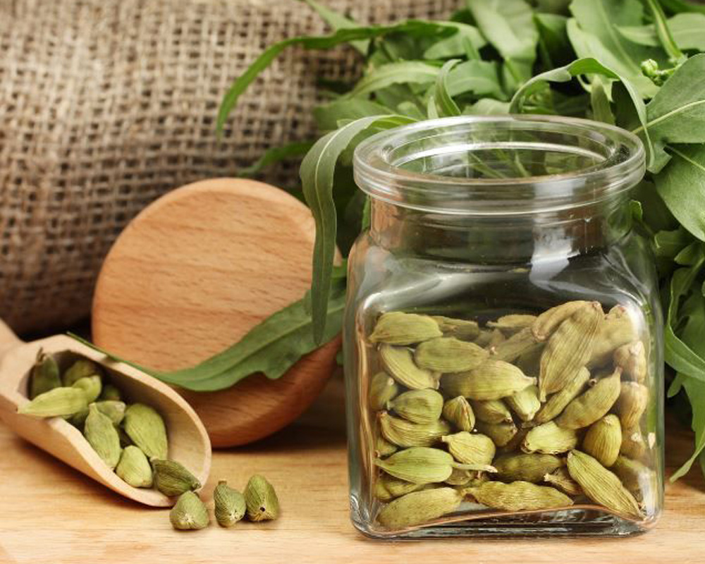 خواص هل کد1002